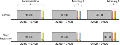 Acute Sleep Restriction Has Differential Effects on Components of Attention